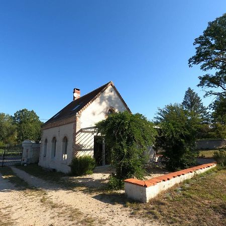 Chateau Des Nouies Villa Selles-sur-Cher Buitenkant foto