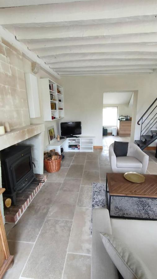 Chateau Des Nouies Villa Selles-sur-Cher Buitenkant foto