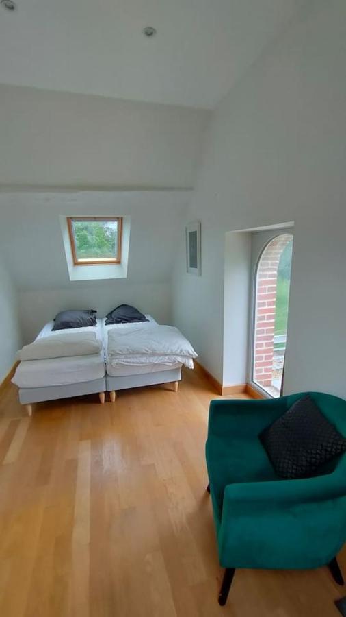 Chateau Des Nouies Villa Selles-sur-Cher Buitenkant foto