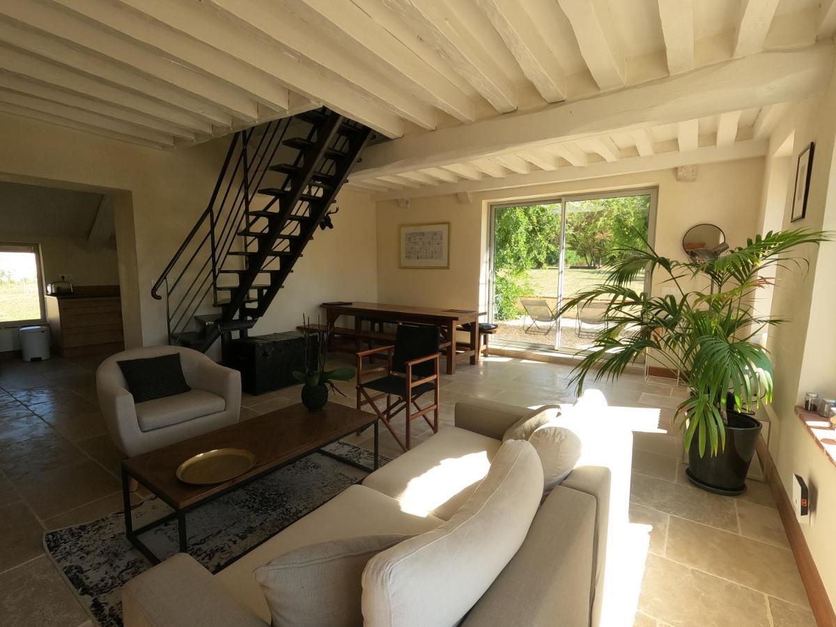 Chateau Des Nouies Villa Selles-sur-Cher Buitenkant foto