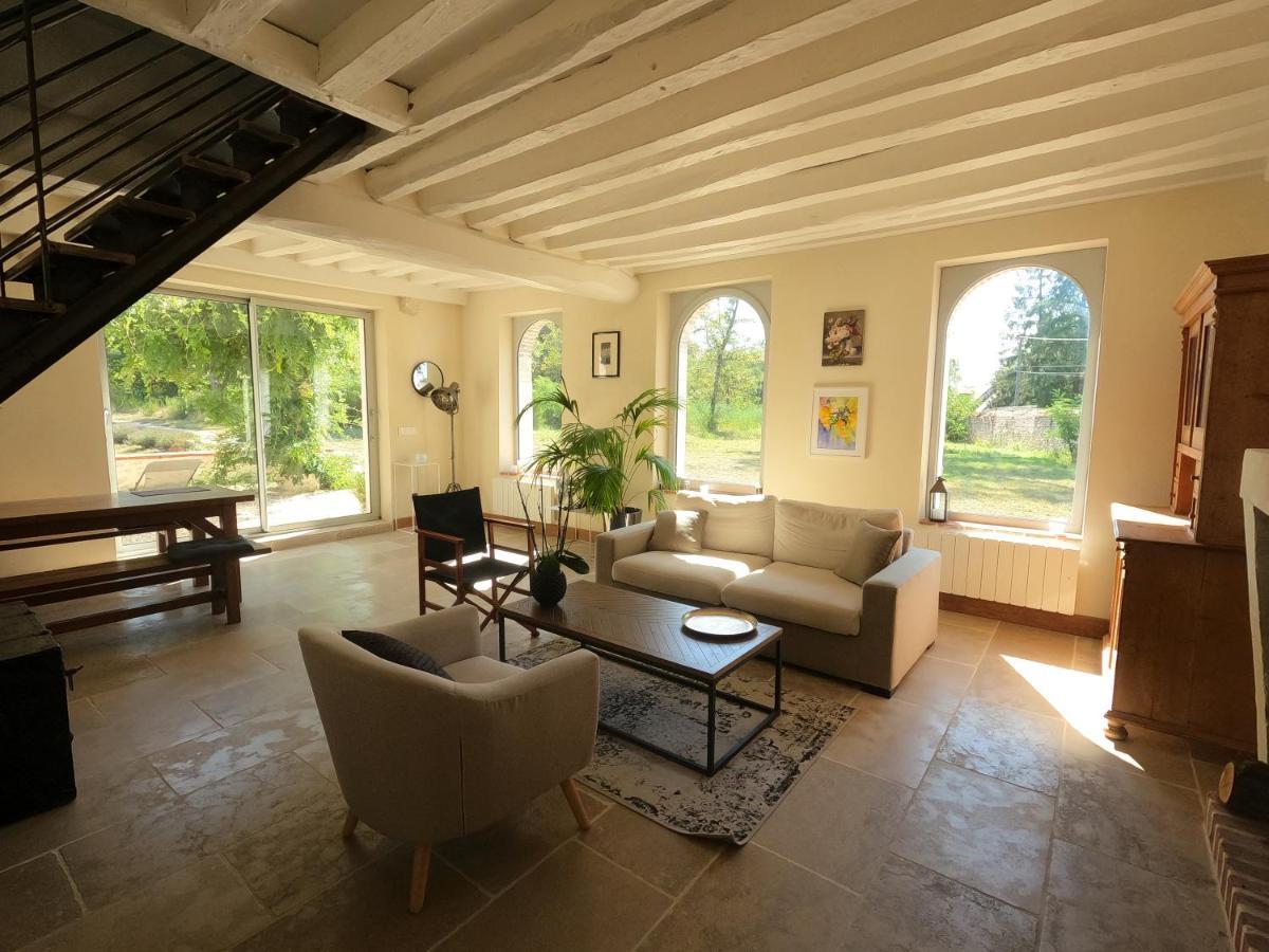 Chateau Des Nouies Villa Selles-sur-Cher Buitenkant foto