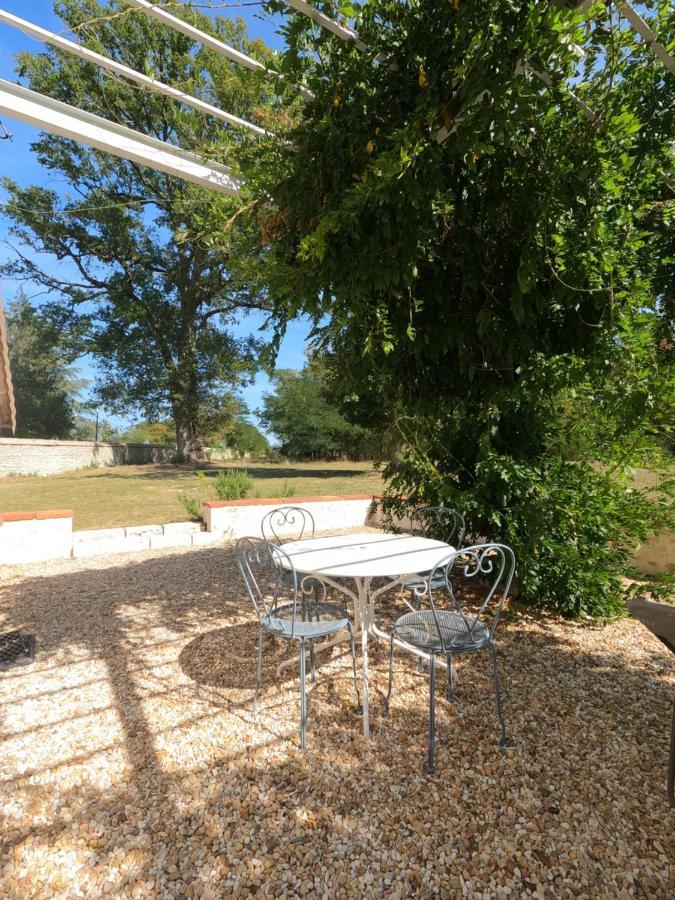 Chateau Des Nouies Villa Selles-sur-Cher Buitenkant foto